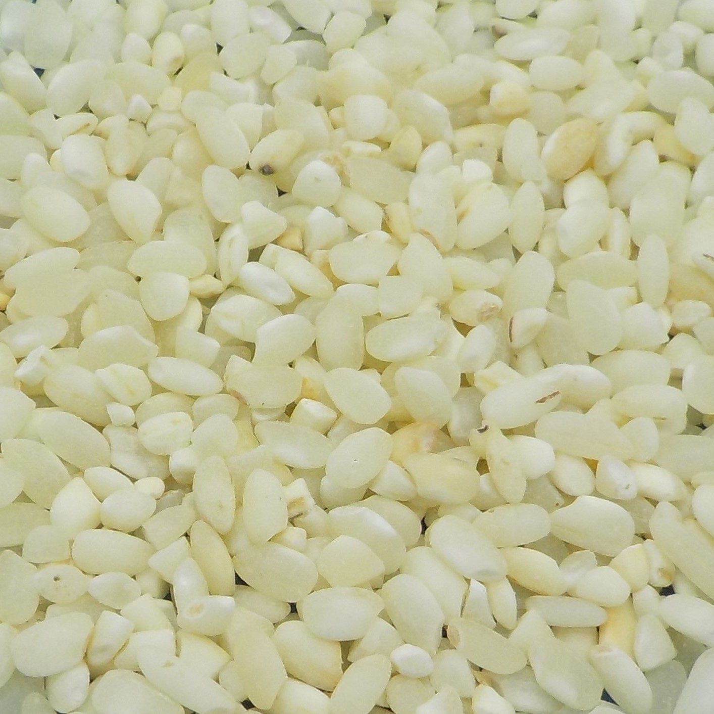 Toasted hulled rice – CerealVeneta