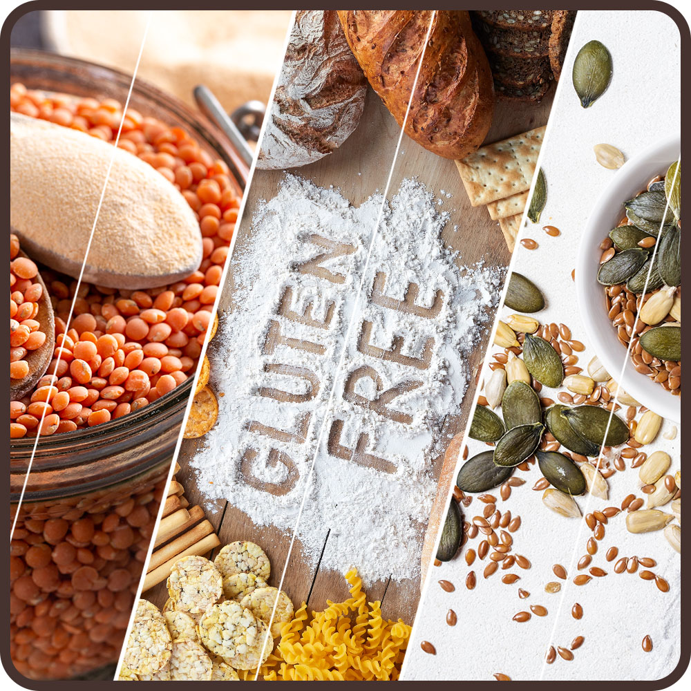 Les nouvelles fibres alimentaires sans gluten – CerealVeneta